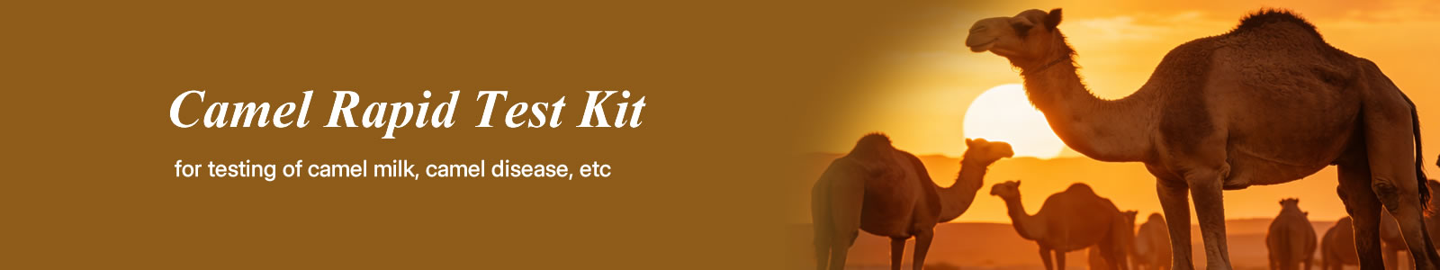 Ringbio Camel and Camel Milk Rapid Test Kit
