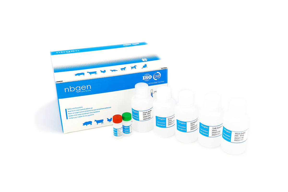 bovine Lactoferrin (bLF) ELISA Kit