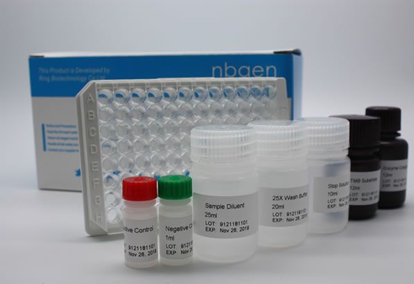 African Swine Fever Antigen ASFV Ag ELISA Kit | RINGBIO